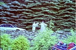 IMG_2726.jpeg